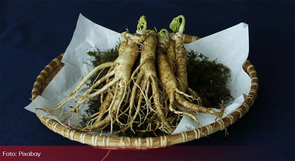 ginseng pixabay.webp
